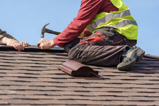 Roof Gutter Cleaning in Tyler, TX